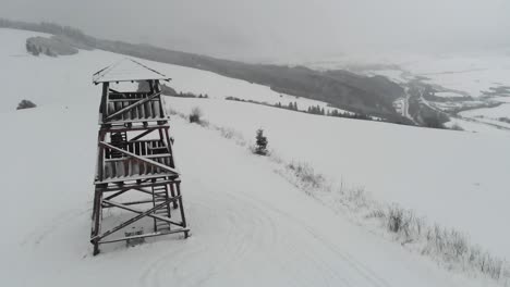 Person-climbing-down-top-stage-of-forest-lookout-tower-in-winter-scenery