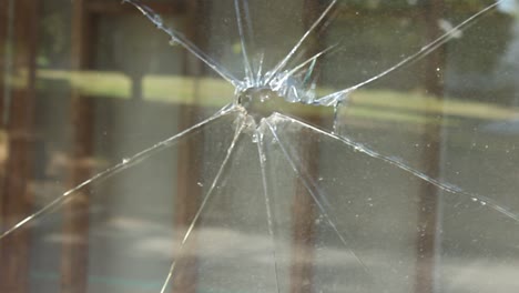 Broken-Window-Glass-Spider-Tracking-Back-out-of-Focus