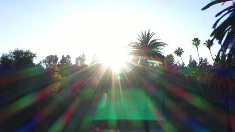 Drohnenaufnahme-Mehrerer-Palmen,-Die-Während-Der-Goldenen-Sonnenuntergangsstunde-Mit-Sonneneruption-Und-Klarem-Blauem-Himmel-In-Los-Angeles,-Kalifornien-Park,-Picknickbereich-Mit-Einem-Rosa-Hüpfburg-Schwenken