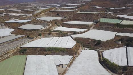 Aerial-view-of-a-mountain-full-of-white-greenhouses
