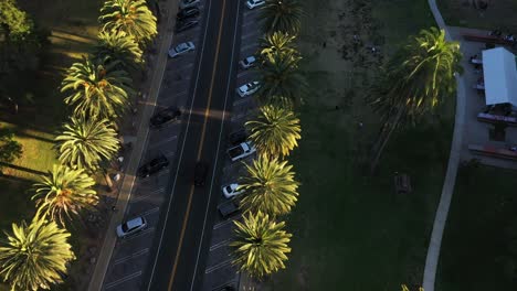 Die-Drohnenaufnahme-Beginnt-Mit-Der-Nahaufnahme-Von-Autos,-Die-Auf-Straßen-Und-Palmen-Fahren,-Und-Zoomt-Dann-Heraus,-Um-Während-Der-Goldenen-Stunde-Des-Sonnenuntergangs-In-Los-Angeles,-Kalifornien,-Viele-Palmen,-Parkplätze-Und-Picknickplätze-Zu-Enthüllen