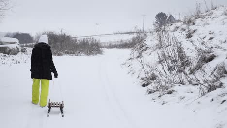 Back-view-of-female-in-winter-clothing-dragging-wooden-sleigh-behind-her-in-snowy-winter-landscape