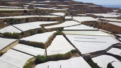 Aerial-view-of-many-white-greenhouses-in-the-coast