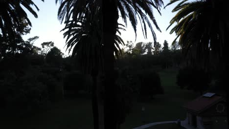 Drohnenschuss,-Beginnend-Am-Picknickplatz-Des-Parks,-Der-Während-Der-Goldenen-Sonnenuntergangsstunde-Mit-Sonneneruption-Und-Klarem-Blauem-Himmel-In-Los-Angeles,-Kalifornien,-Zu-Mehreren-Palmen-Schwenkt