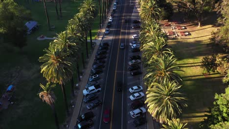 Drone-shot-panning-while-tilting-upward-of-palm-trees-during-golden-sunset-hour-in-Los-Angeles,-California-park-revealing-picnic-area,-sidewalk,-vehicles-driving,-and-in-parking-lot