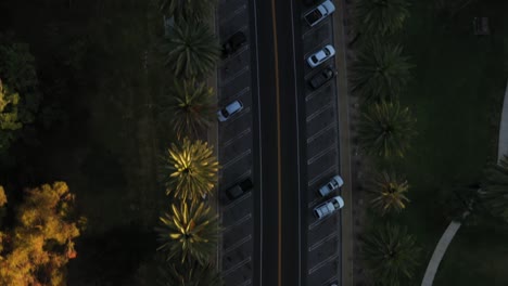 Drohnenaufnahme-Des-Parkplatzes-Und-Autos,-Die-Die-Straße-Hinunterfahren-Und-Während-Der-Goldenen-Sonnenuntergangsstunde-In-Los-Angeles,-Kalifornien,-Die-Straße-Mit-Mehreren-Palmen-Auf-Beiden-Seiten-Hinaufschwenken