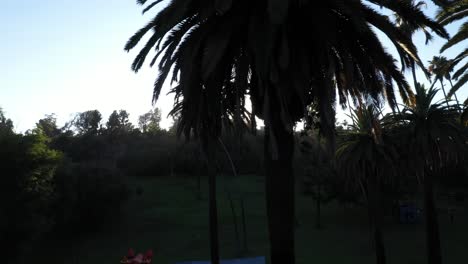 Drohnenaufnahme-Von-Palmen,-Die-Während-Der-Goldenen-Sonnenuntergangsstunde-Nach-Links-Schwenken,-Mit-Sonneneruptionen-Und-Klarem-Blauem-Himmel-In-Los-Angeles,-Kalifornien-Park-Picknickplatz-Mit-Einem-Kleinen-Dachblick-Auf-Ein-Rosa-Hüpfburg