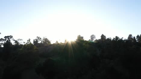 Drohnenaufnahme-Mehrerer-Palmen,-Die-Während-Der-Goldenen-Sonnenuntergangsstunde-Nach-Links-Schwenken,-Wobei-Die-Sonne-Durch-Palmen-Und-Den-Klaren-Blauen-Himmel-In-Los-Angeles,-Kalifornien,-Park-Späht