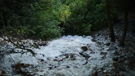 Slow-motion-shot-of-a-gushing-fresh-water-river-in-the-Wasatch-Mountains