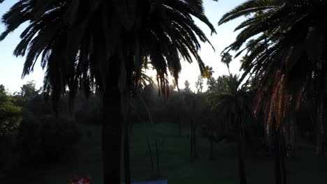 Drohnenaufnahme-Von-Palmen,-Die-Während-Der-Goldenen-Sonnenuntergangsstunde-Mit-Sonneneruptionen-Und-Klarem-Blauem-Himmel-In-Los-Angeles,-Kalifornien,-Geschwenkt-Werden.-Picknickbereich-Im-Park-Mit-Einem-Kleinen-Dachblick-Auf-Ein-Rosa-Hüpfburg