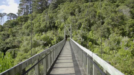 Zu-Fuß-über-Die-Drehbrücke-In-Neuseeland,-Wellington,-Neuseeland