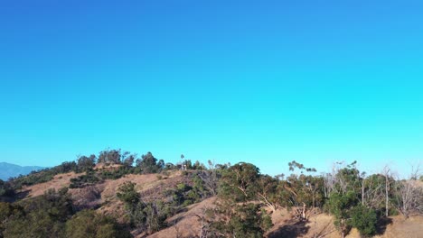 Drone-shot-of-a-balloon-flying-through-clear,-blue-skies-on-hilltop-with-trees-of-park-in-Los-Angeles,-California