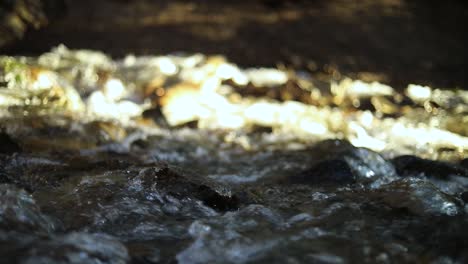Slow-Motion-shot-of-a-flowing-river-in-the-Rocky-Mountains