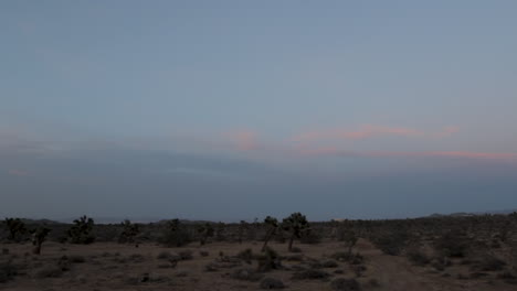 Nachtzeit-In-Der-Wüste