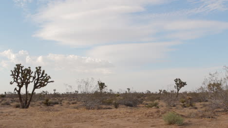 windy-desert-landscape-in-the-daytime