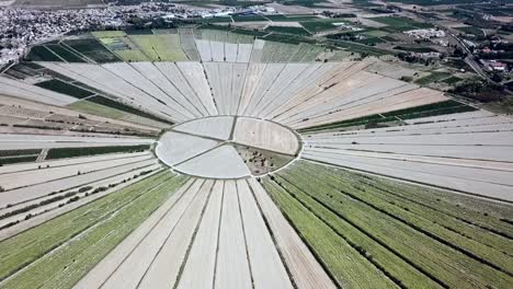 Aerial-view-of-the-circular-fields-of-the-drained-lake-of-Montady,-France,-Europe