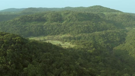 Luftaufnahme-Des-Waldes-In-Den-Westlichen-Ghats-Des-Indischen-Waldes