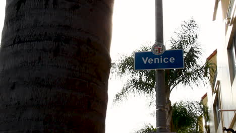 Venedig-Sign_Lens-Flares-Und-Palmen