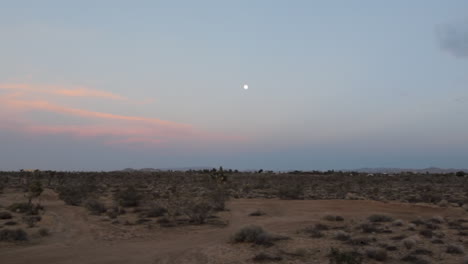 Wüstenlandschaft-Bei-Nacht,-Mond