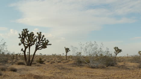 desert-landscape-in-the-daytime