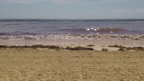 Seaweed-and-waves-in-a-nice-sandy-beach