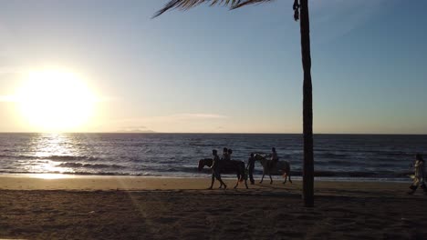 Zeitlupe-Mit-Pferden,-Die-An-Einem-Sandstrand-Mit-Sonnenuntergang-Als-Hintergrund-In-Nadi,-Fidschi-Reiten