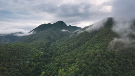 Aerial-Hyperlapse-of-Cloud-Forest