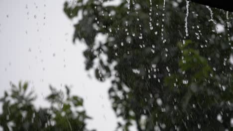 Slow-motion-close-up-shot-of-rain-pouring-off-a-roof-guttering-with-trees-swaying-in-the-wind-in-the-background