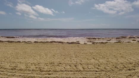 Strandwellen-Voller-Algen-An-Der-Golfküste-Von-Mexiko