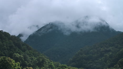 Zeitraffer-Eines-Nebelwaldes---üppig-Grüne-Dschungelberglandschaft