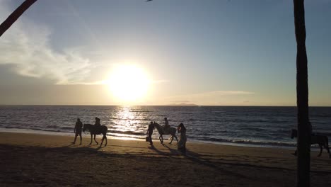 Horses-riding-on-golden-sandy-Fiji-beach,-with-tropical-island-sunset-coastline-as-background
