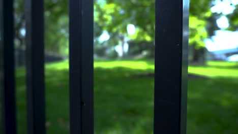Looking-through-a-metal-fence-at-a-lush-lawn-in-the-center-of-Grand-Rapids