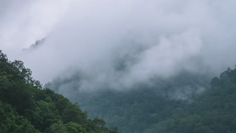 Nebelwald-Zeitraffer---üppig-Grüne-Dschungelberglandschaft