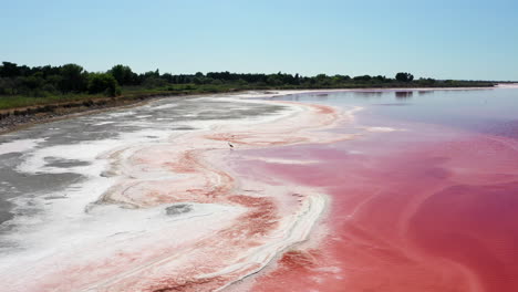 The-historical-town-of-Aigues-Mortes-with-a-bird-flying-away-above-a-pink-salt-lake