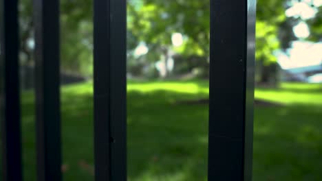 Looking-through-a-metal-fence-at-a-lush-lawn