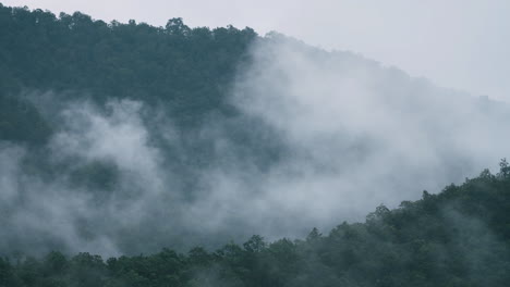 Timelapse-of-Cloud-Forest---Lush-Green-Jungle-Mountain-Landscape