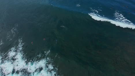 Ein-Surfer-Reitet-Auf-Einer-Welle,-Während-Andere-Auf-Der-Karibikinsel-Tobago-In-Der-Schlange-Stehen