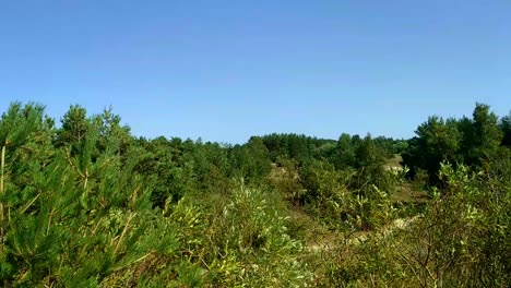 Kurzeme,-Latvia-with-green-woods-and-blue-sky