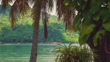 A-beautiful-4K-UHD-Cinemagraph-of-a-tropic-seaside-beach-at-Perhentian-Island,-Malaysia-with-a-squirrel-running-up-a-tree