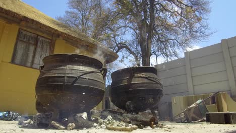 Cast-iron-"Potjie"-pots-on-a-fire-with-a-tree-in-the-background