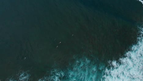 Luftaufnahmen-Von-Surfern,-Die-Die-Wellen-In-Der-Bucht-Von-Mount-Irvine-Auf-Der-Karibischen-Insel-Tobago-Genießen