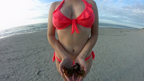 Woman-in-bikini-on-the-beach-shows-sea-weed