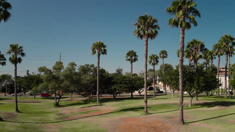 4K-footage-of-palm-trees-in-Long-Beach,-CA