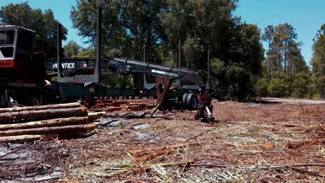 Logs-around-loader-in-Florida-forest