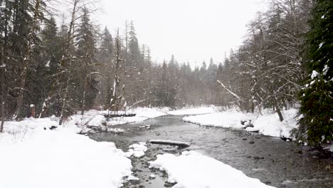 Slow-pan-left-of-small-river-and-forest-during-a-winter-snowstorm