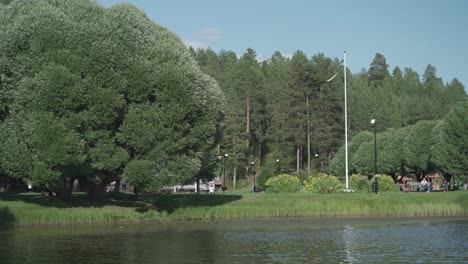 Statische-Aufnahme-Eines-Großen-Baumstrauchs-Und-Einer-Schwedischen-Flagge-Und-Im-Vordergrund-Ein-Kleiner-Seeteich