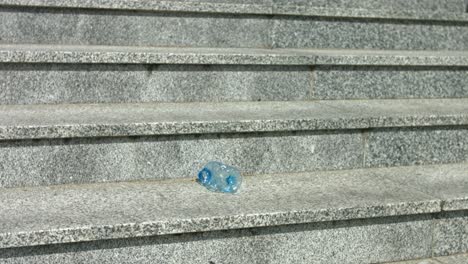 A-woman-goes-up-the-stairs-and-picks-up-a-plastic-bottle-to-throw-it-in-the-trash-bin