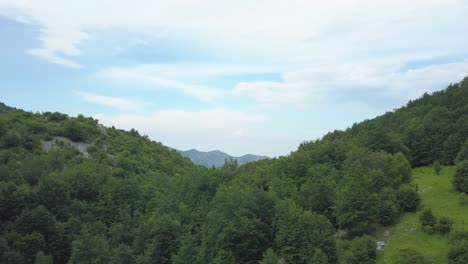 Borov-Kamak,-Vratsa,-Bulgarien,-Bach-Im-Wald