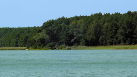 Lago-Wdzydze-En-El-Parque-Paisajístico-Kashubian-En-El-Voivodato-De-Pomerania