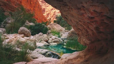 A-lush-rock-canyon-river-is-flowing-through-a-desert-area---rock-canyon-in-Oman